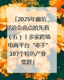 2025年廊坊经洽会亮点抢先看（五）丨多家跨境电商平台“牵手”107个特色产业集群